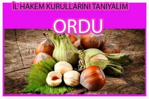İL HAKEM KURULLARINI TANIYALIM/ORDU