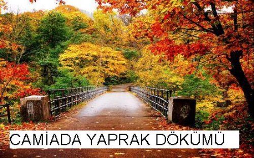 GİTME SIRASI KİMDE?