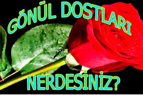 GÖNÜL DOSTLARINA SELAM OLSUN!