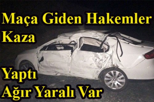 HAKEMLER GÜMÜŞHANE'DE KAZA YAPTI