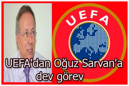Oğuz Sarvan, Sarvan, İsveç ile Danimarka maçında..