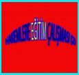 BU SORULAR BEYİN YIKAR(2) 