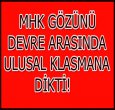 DEVRE ARASI HAREKETLİLİK VAR