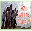 KİM NEREDE NE ZAMAN KOŞACAK?